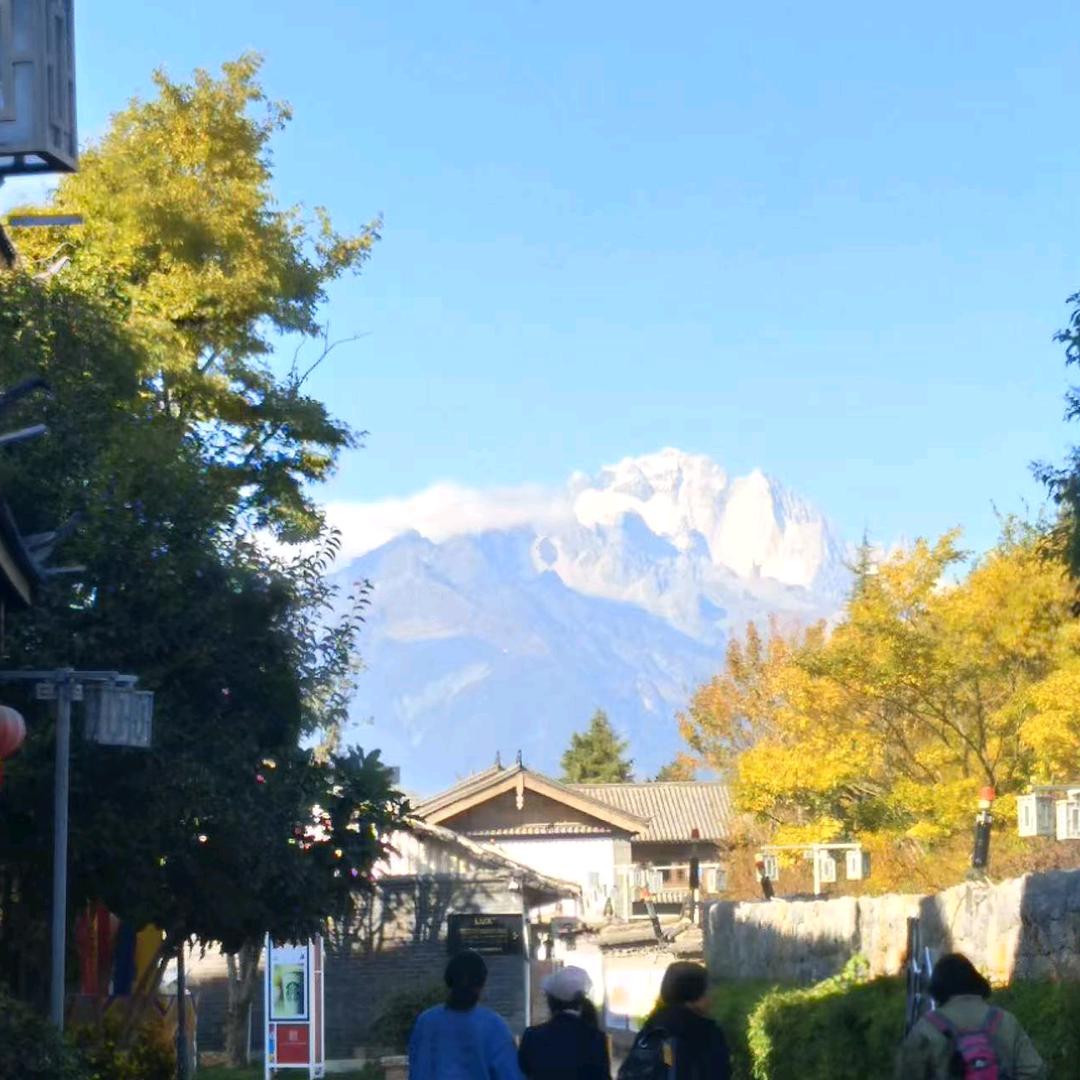 zjhua