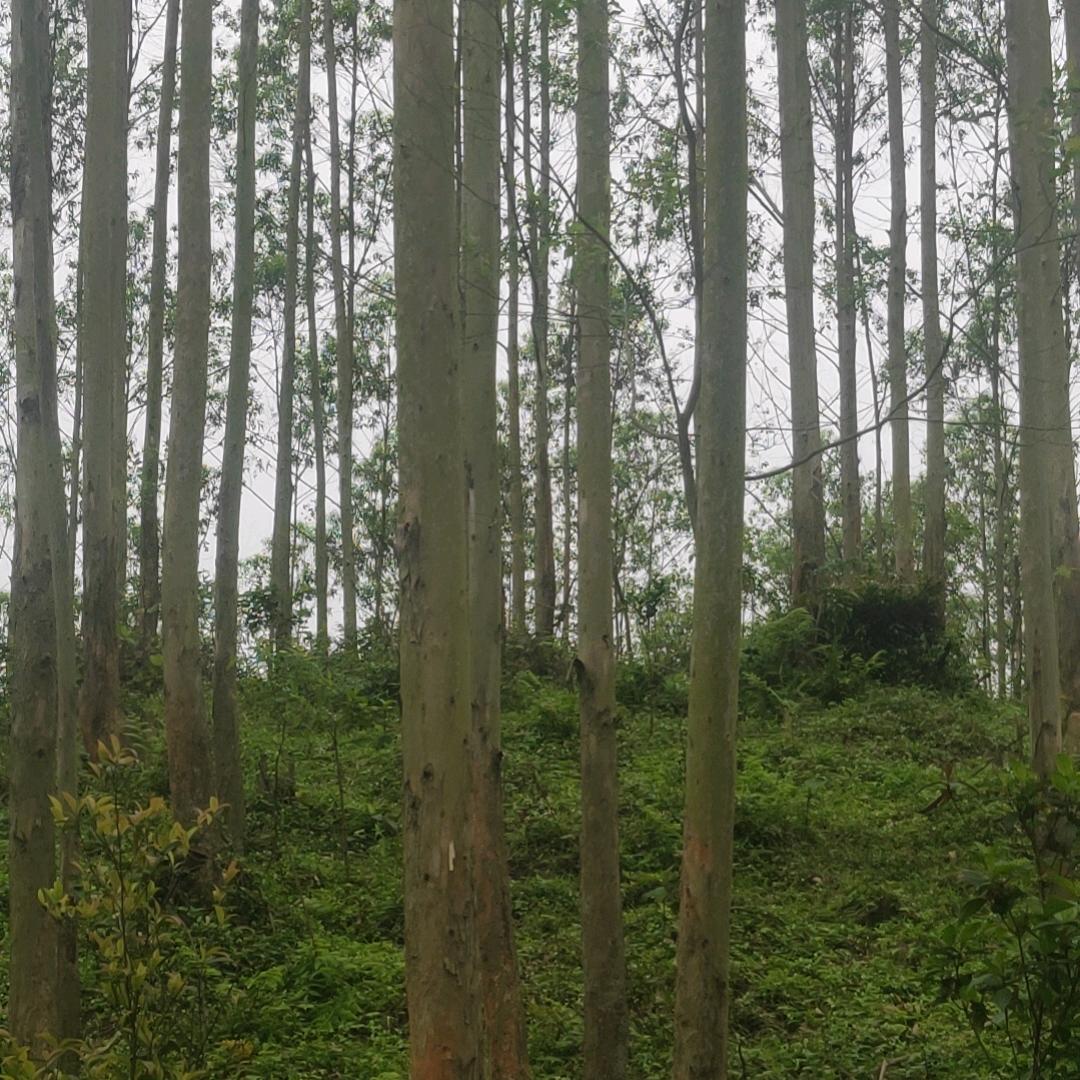 用户1360827606173
