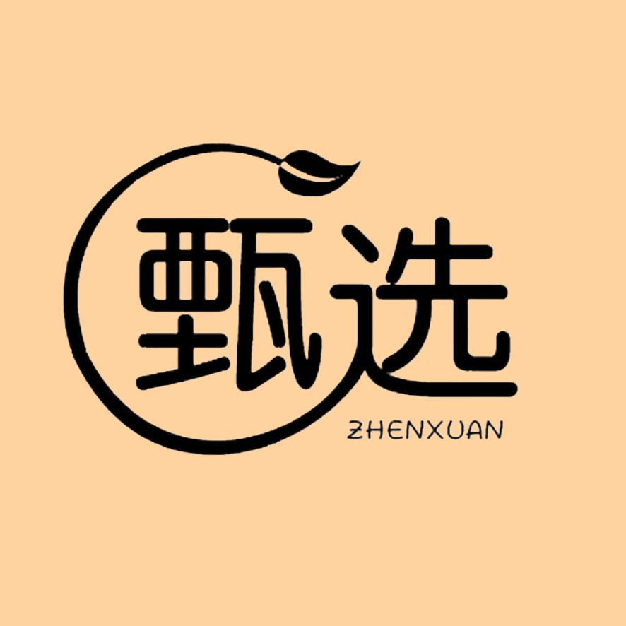 田阿姨甄选