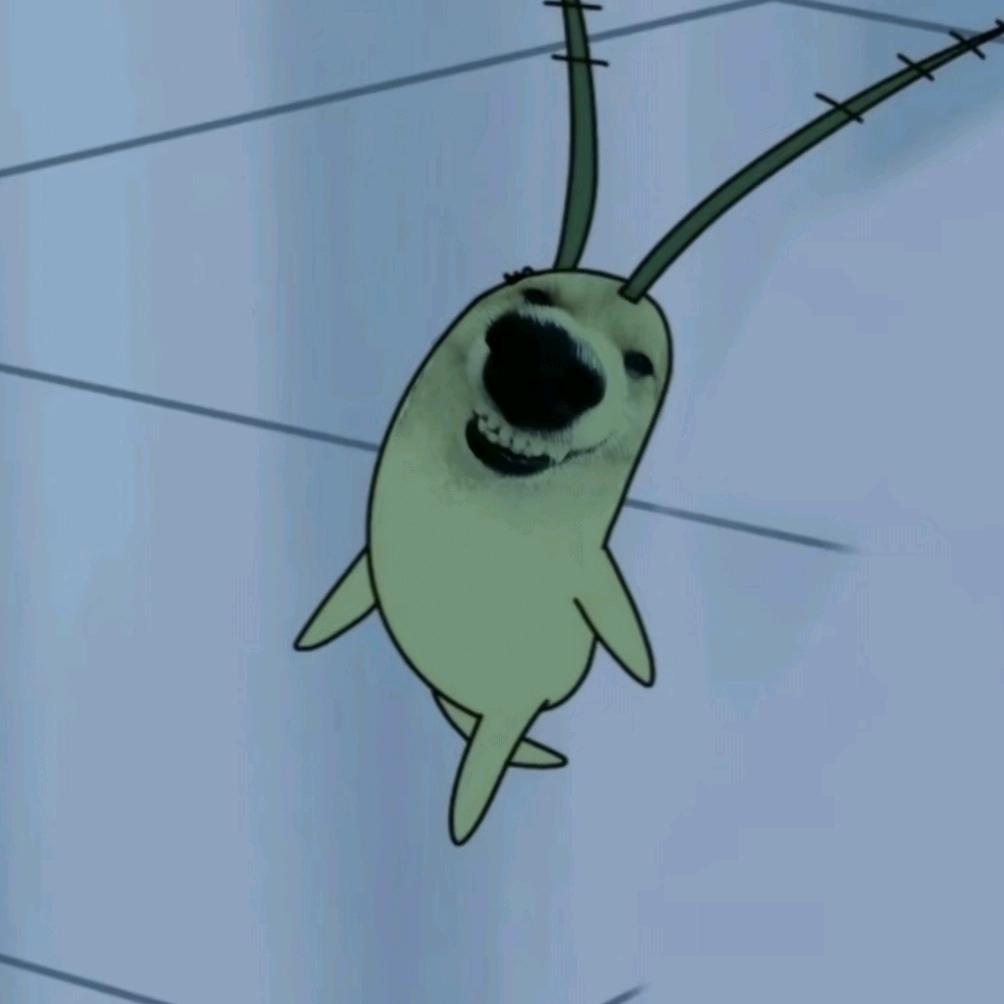蛙哒西蛙