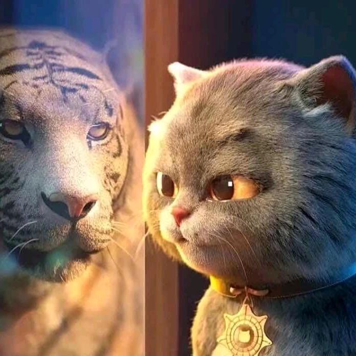 汗水比眼泪更亮