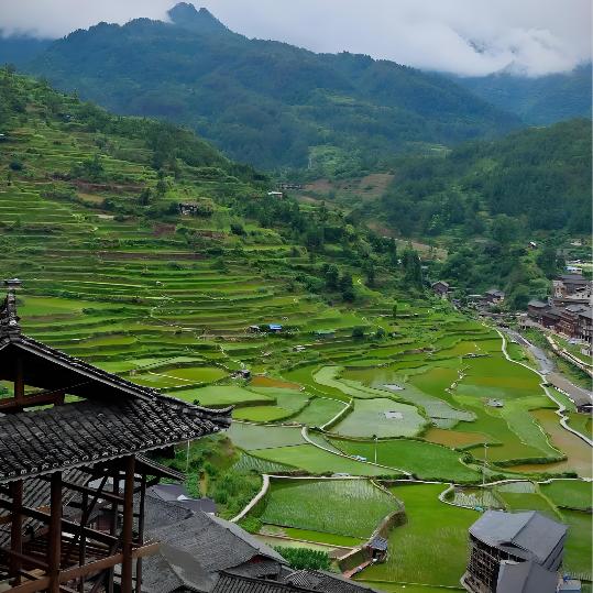 小付人家
