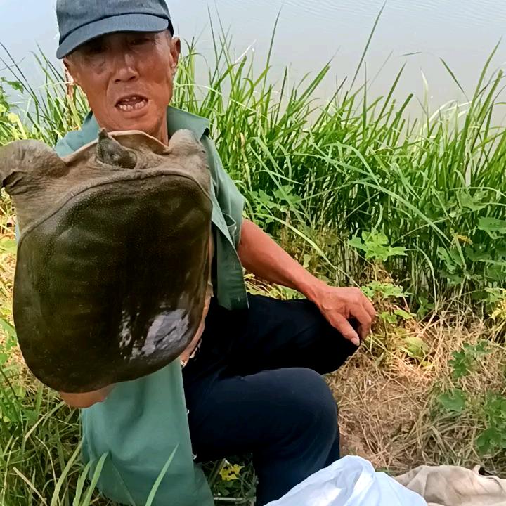 大师傅