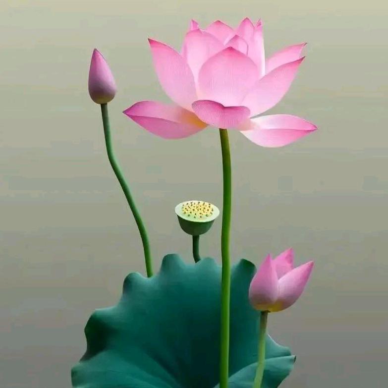 一心顶礼观世音