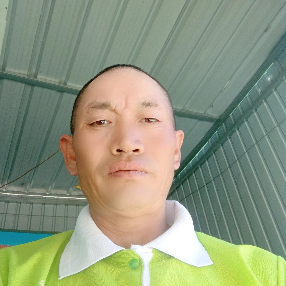 沈哥