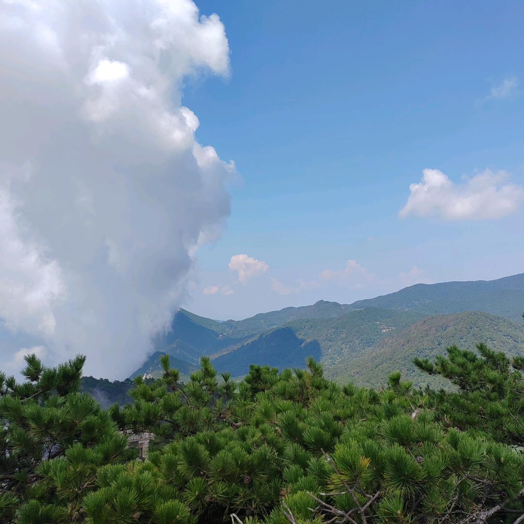 陌陌