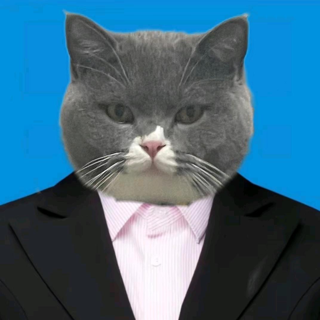 猫冒