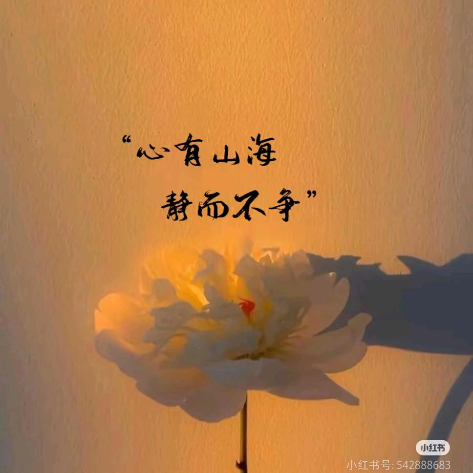 果粒橙
