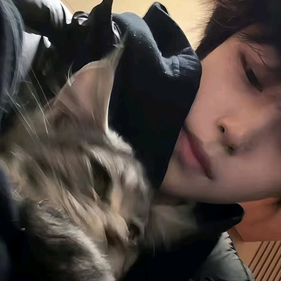 小陈不想上早八