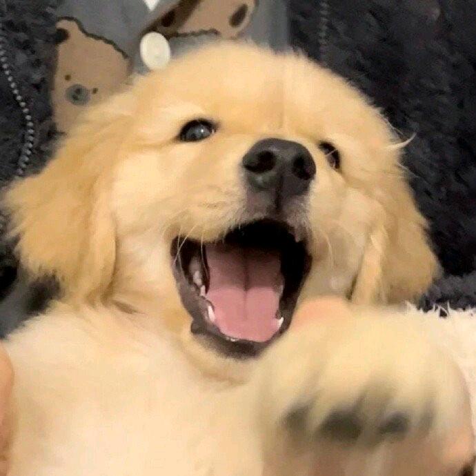 xQq