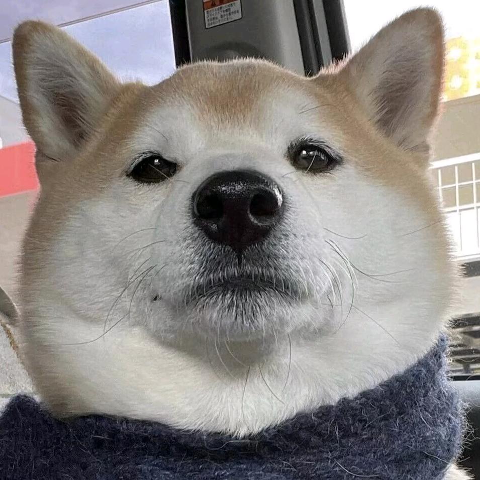 秋澜