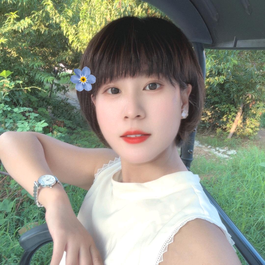 燕子数码