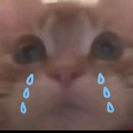 胡桃