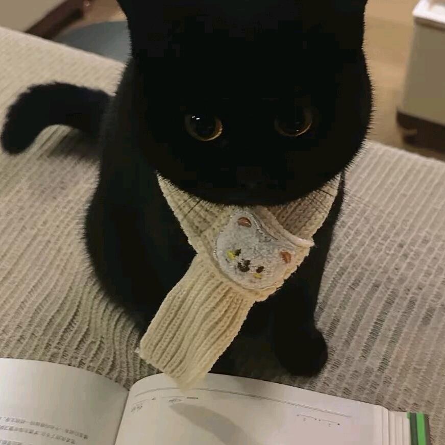 最美的时光遇见了你，仅一心无二情