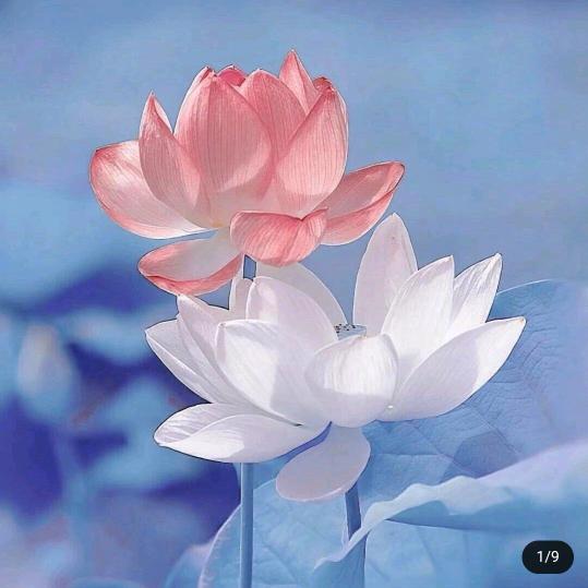 🐟ᐝ冬天的秘密