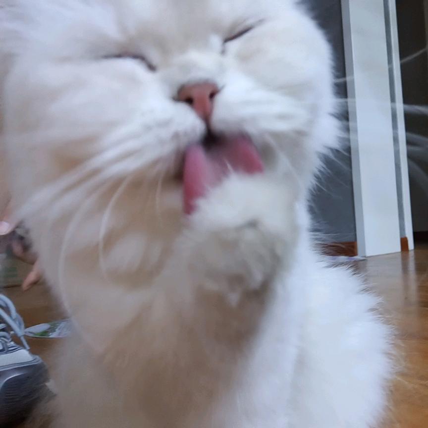 朴素型学习博主