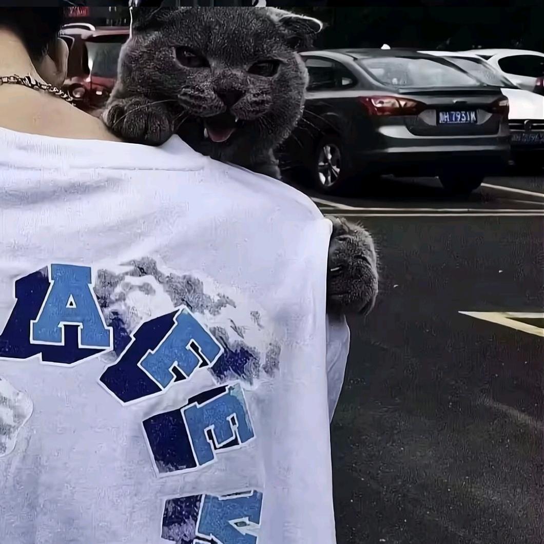 归故.