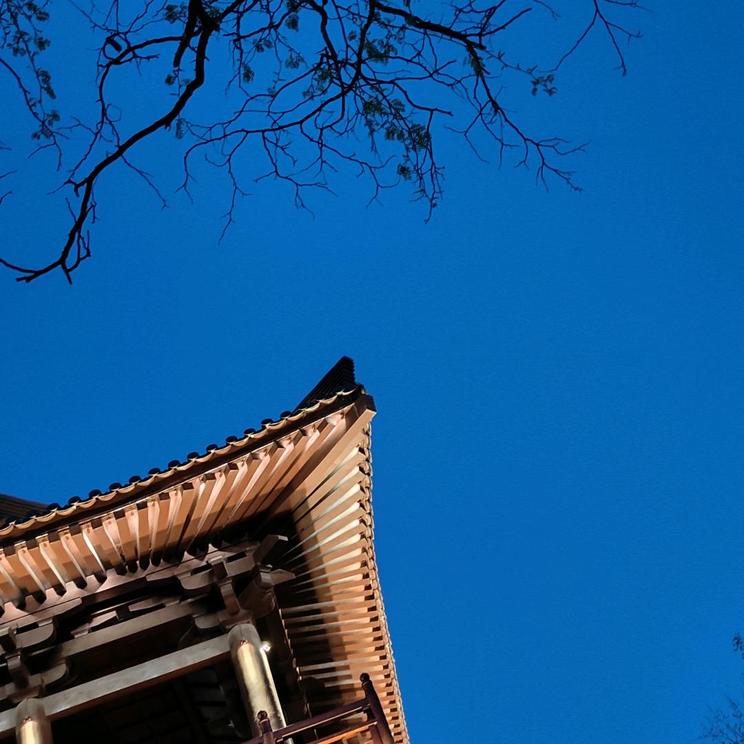 心大