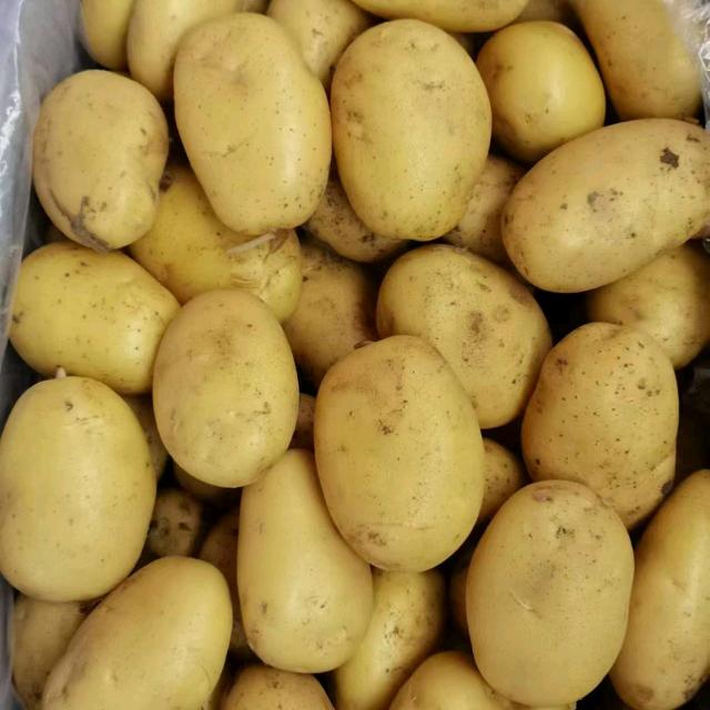 凤姐巜厨窗的好物》