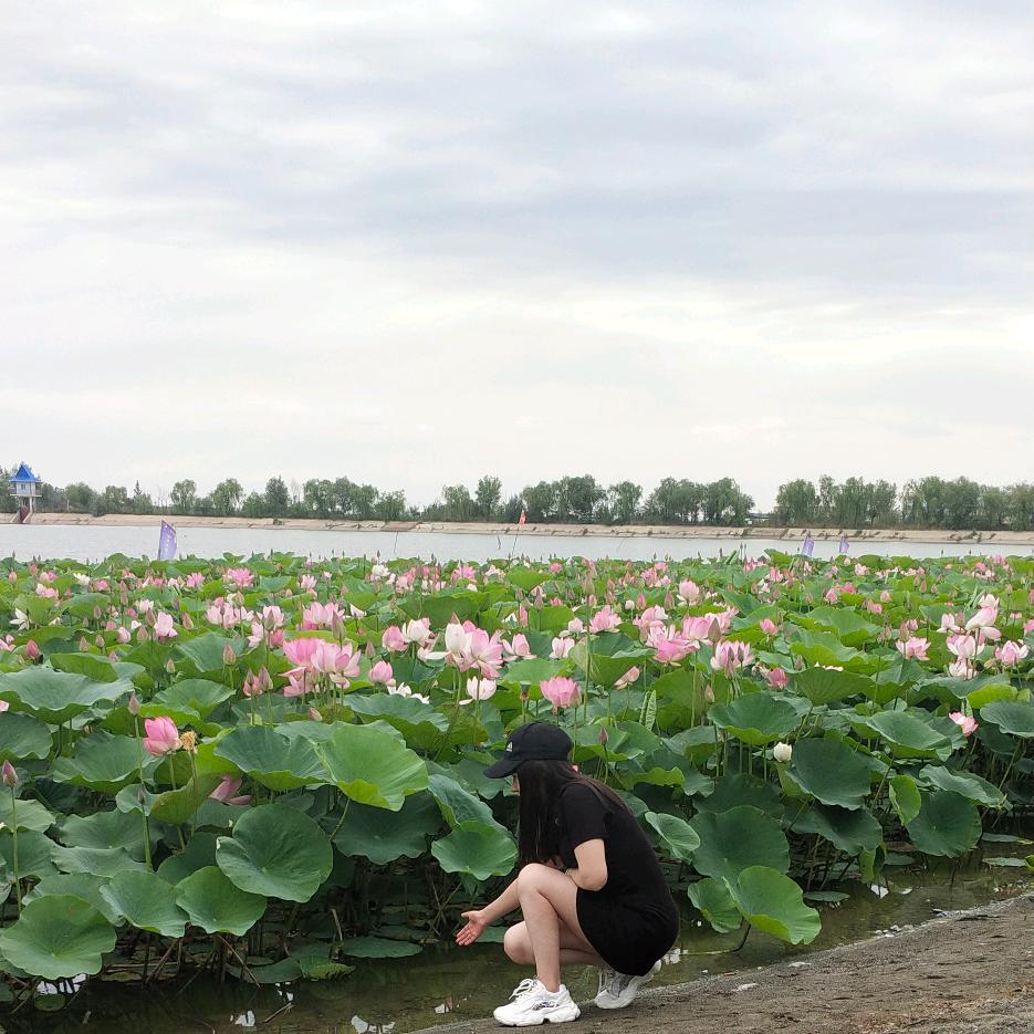 周周有钱花（尊师向幺妹）