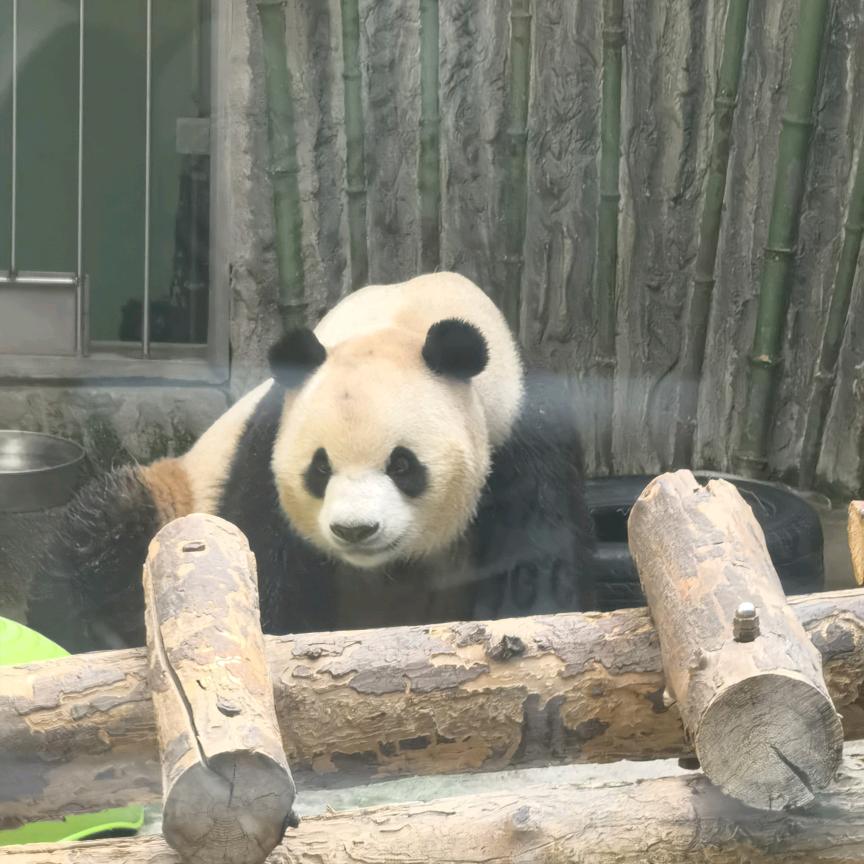 移别昨天