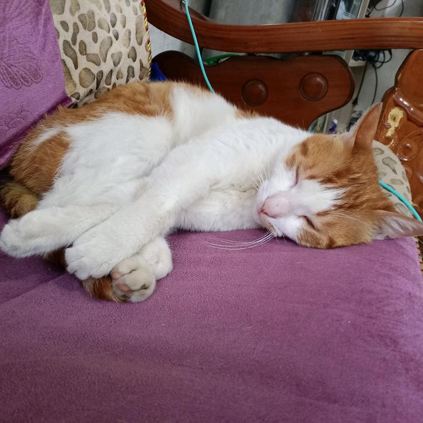 世纪联华富阳市心店（陆）