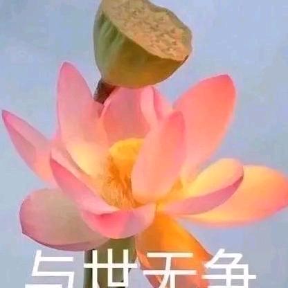 刘哥好物