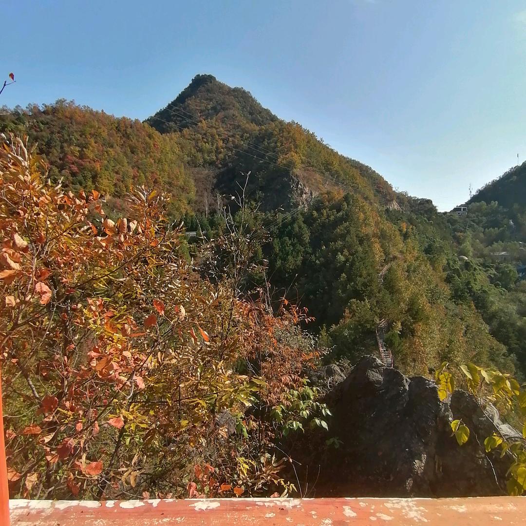 易经扬