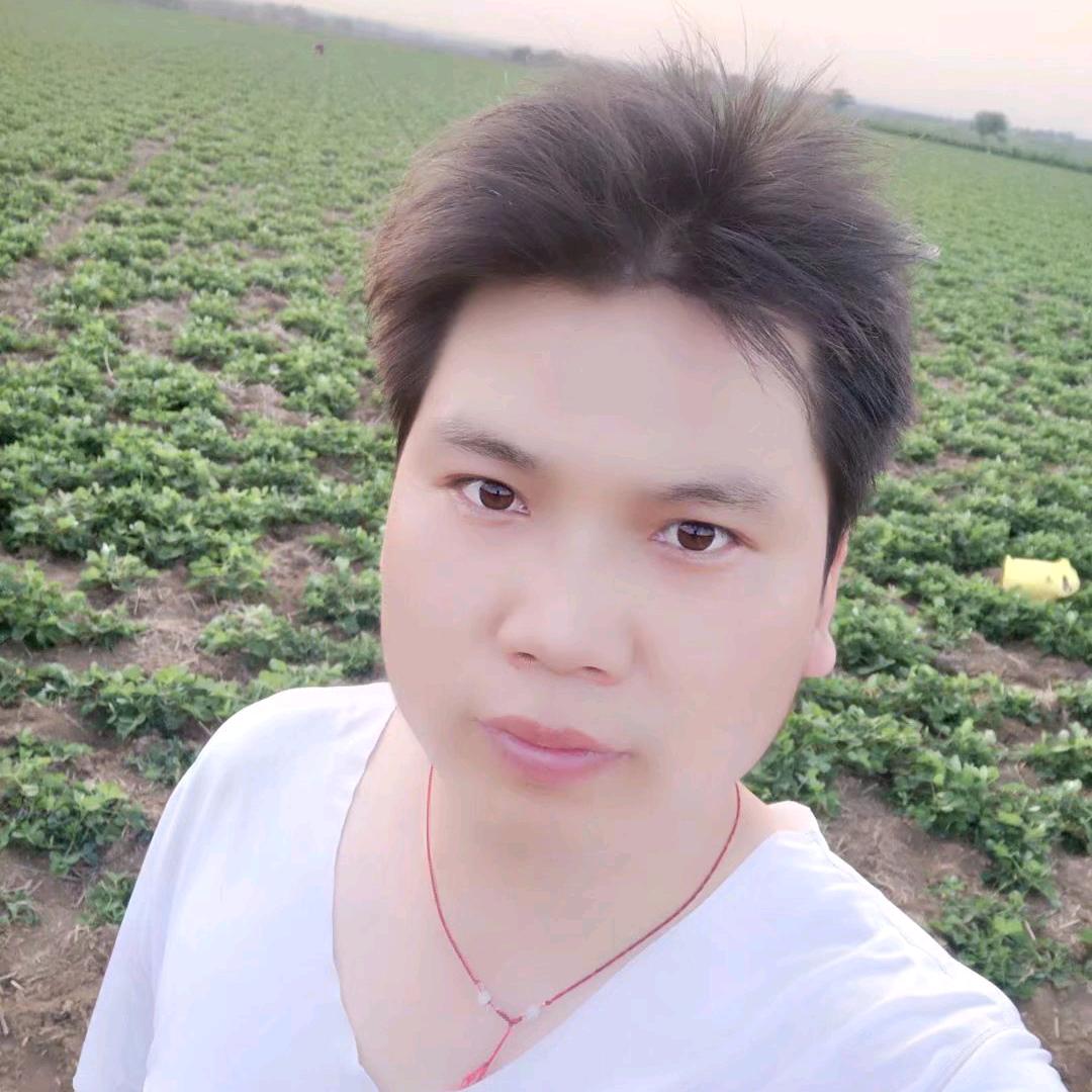双盈搬砖人