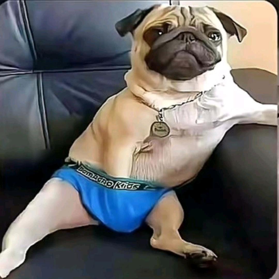 骑着蜗牛逛四川