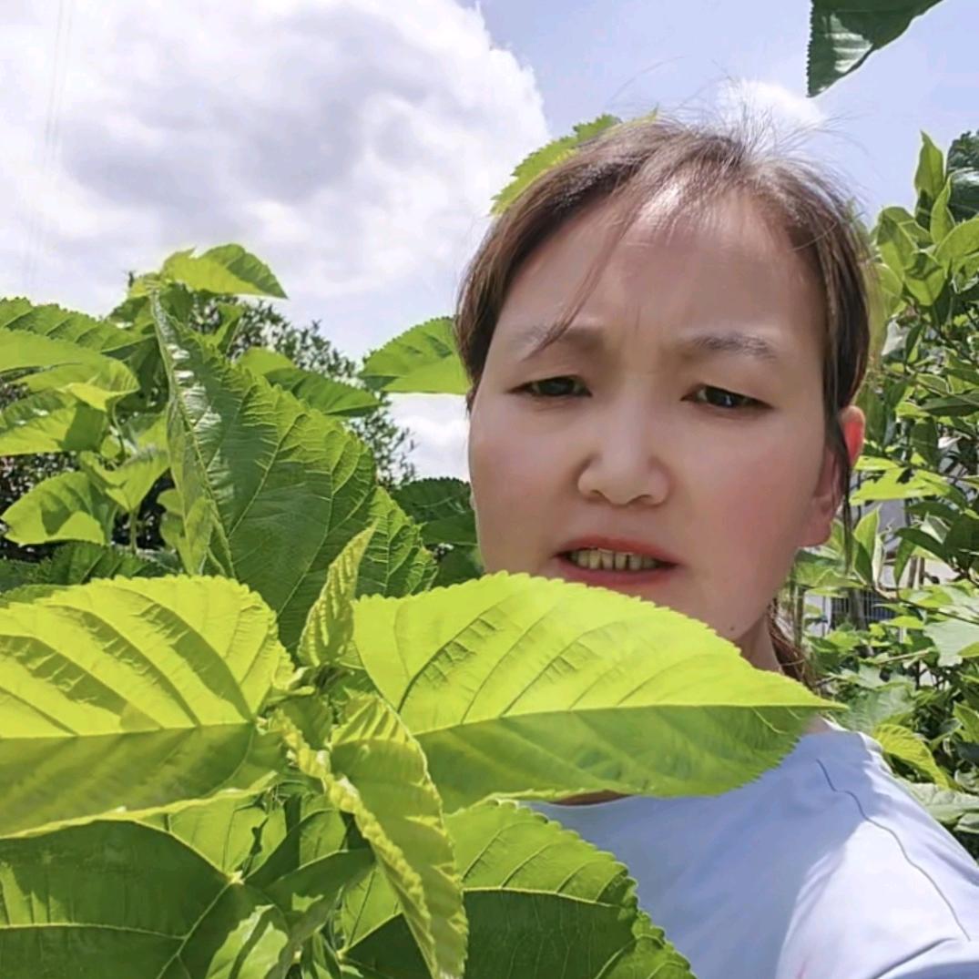 耘耕智慧农副产品电子商务商行