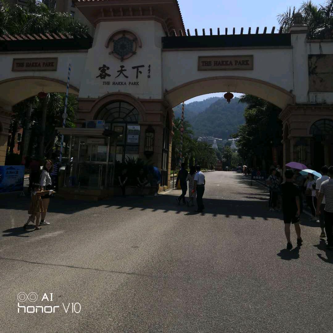 🌷喜来乐🌷