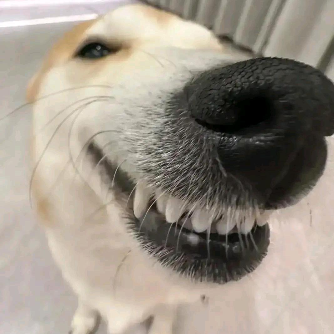 你跺你也麻
