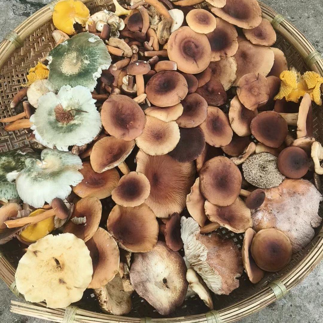 谁喜欢我把我带走