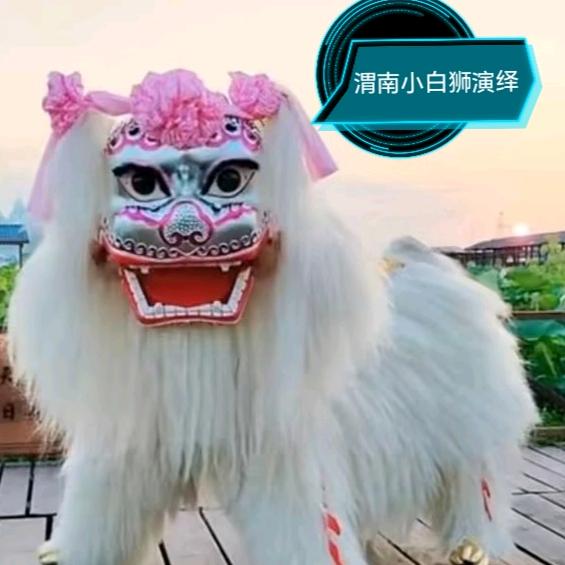 渭南小白狮演绎传媒