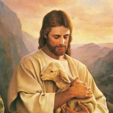 恩典古泉（高价接大洋）