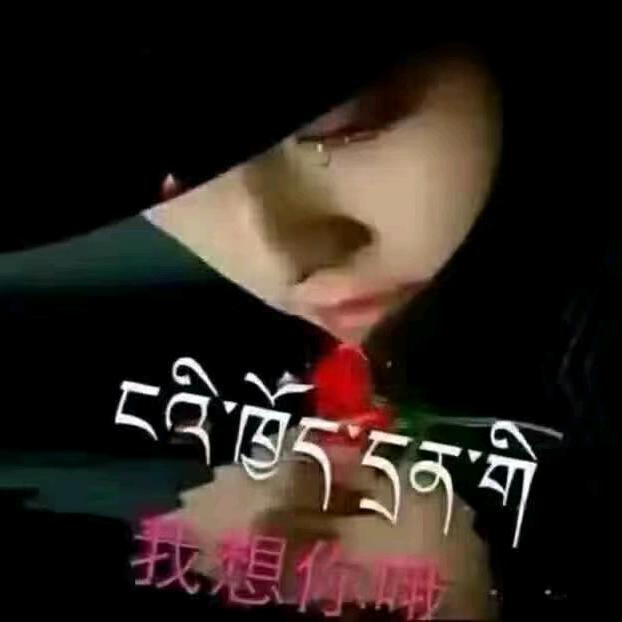 用户8633338328796