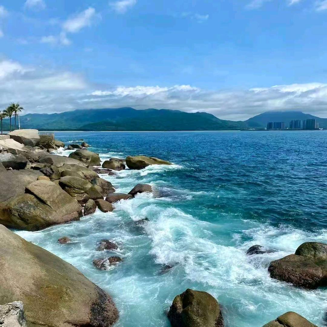 杨大爷