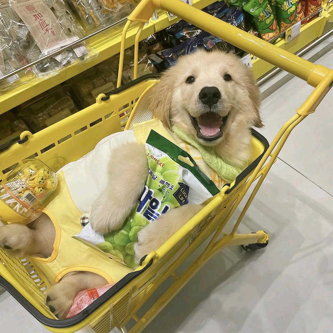 沈云宴