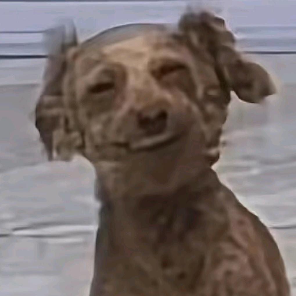 它不会咬人的，来摸啊