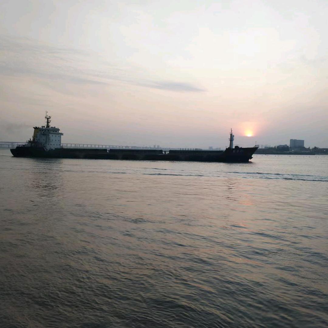 往后余生只宠一人