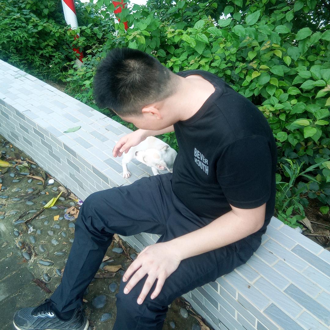 习惯了一个人