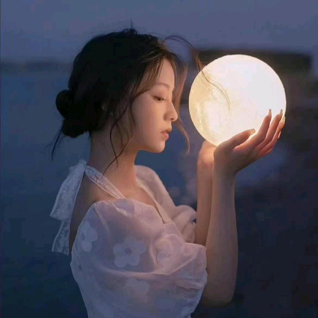 雪梨不离