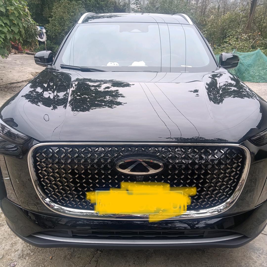 我养了一只🐯。