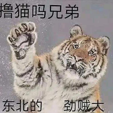 山大王，老k