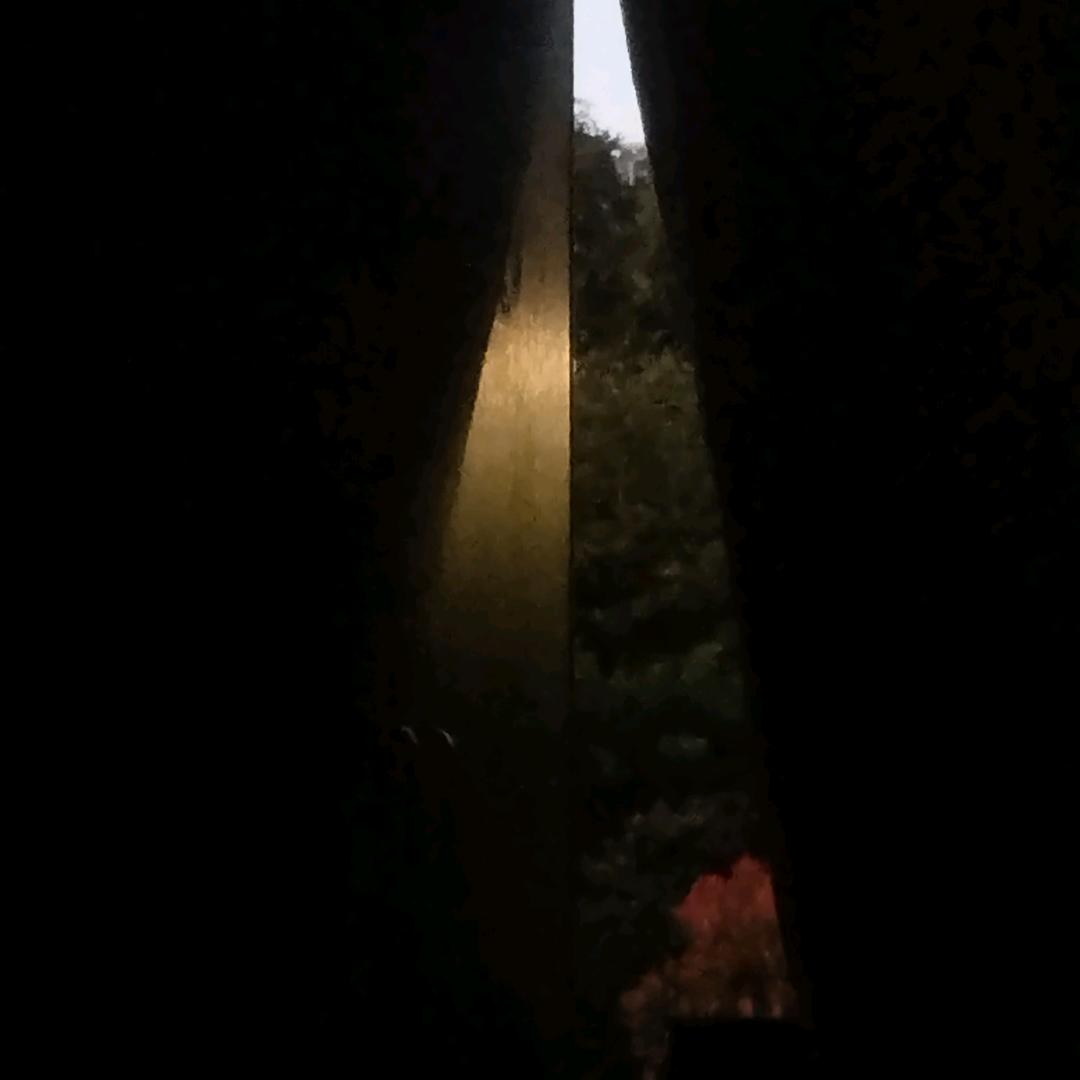 饭团团团团团