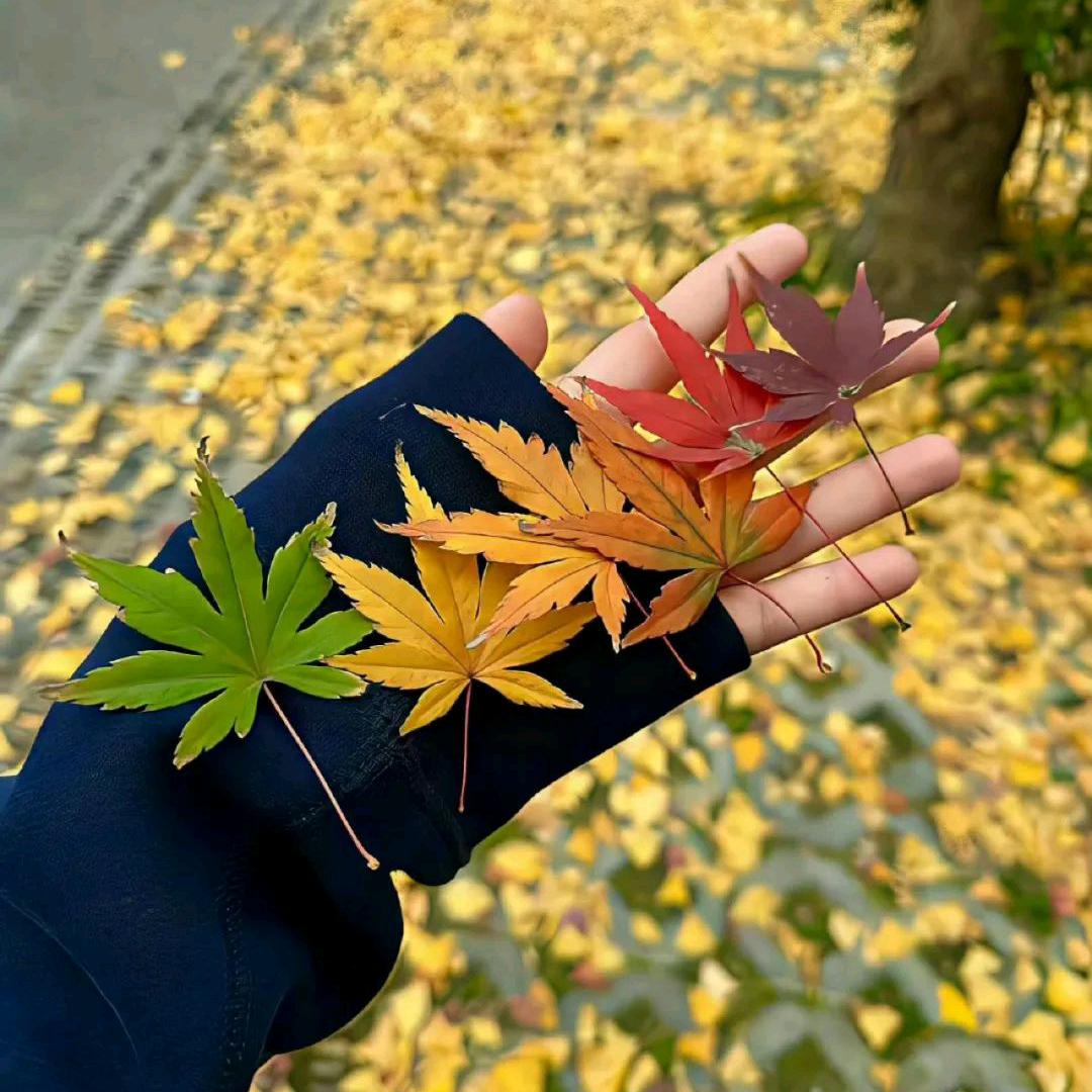 暖心   向阳