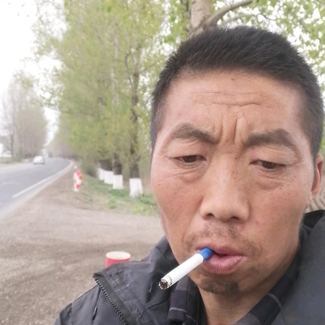 邦老农民卖牛直播打包