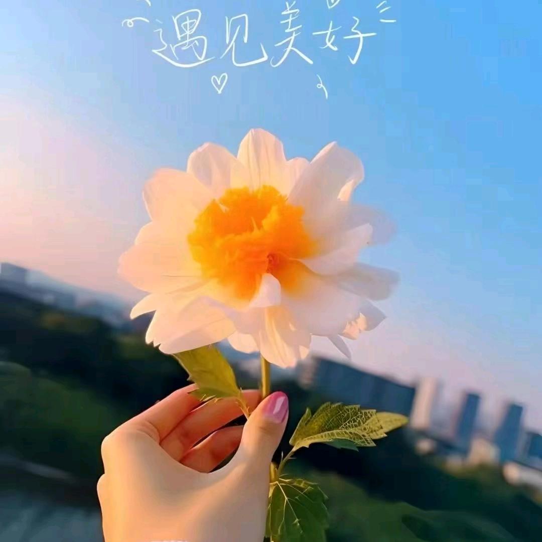 @许大小姐