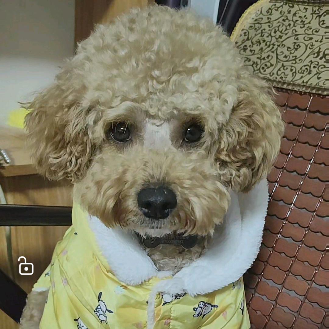 懒喵喵